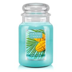 Sviečka Country Candle veľká, Mango Nectar