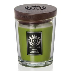 Stredná sviečka Vellutier, Ancient Oakwoods