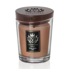 Stredná sviečka Vellutier, Wild Cedar Tree
