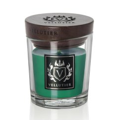 Malá sviečka Vellutier, Sibírsky borovicový les