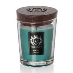 Stredná sviečka Vellutier, Sensual Charm