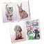 Kreativní samolepkový bloček Top Model Cute Animals
