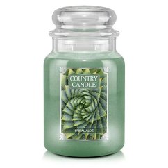Svíčka Country Candle velká, Spiral Aloe